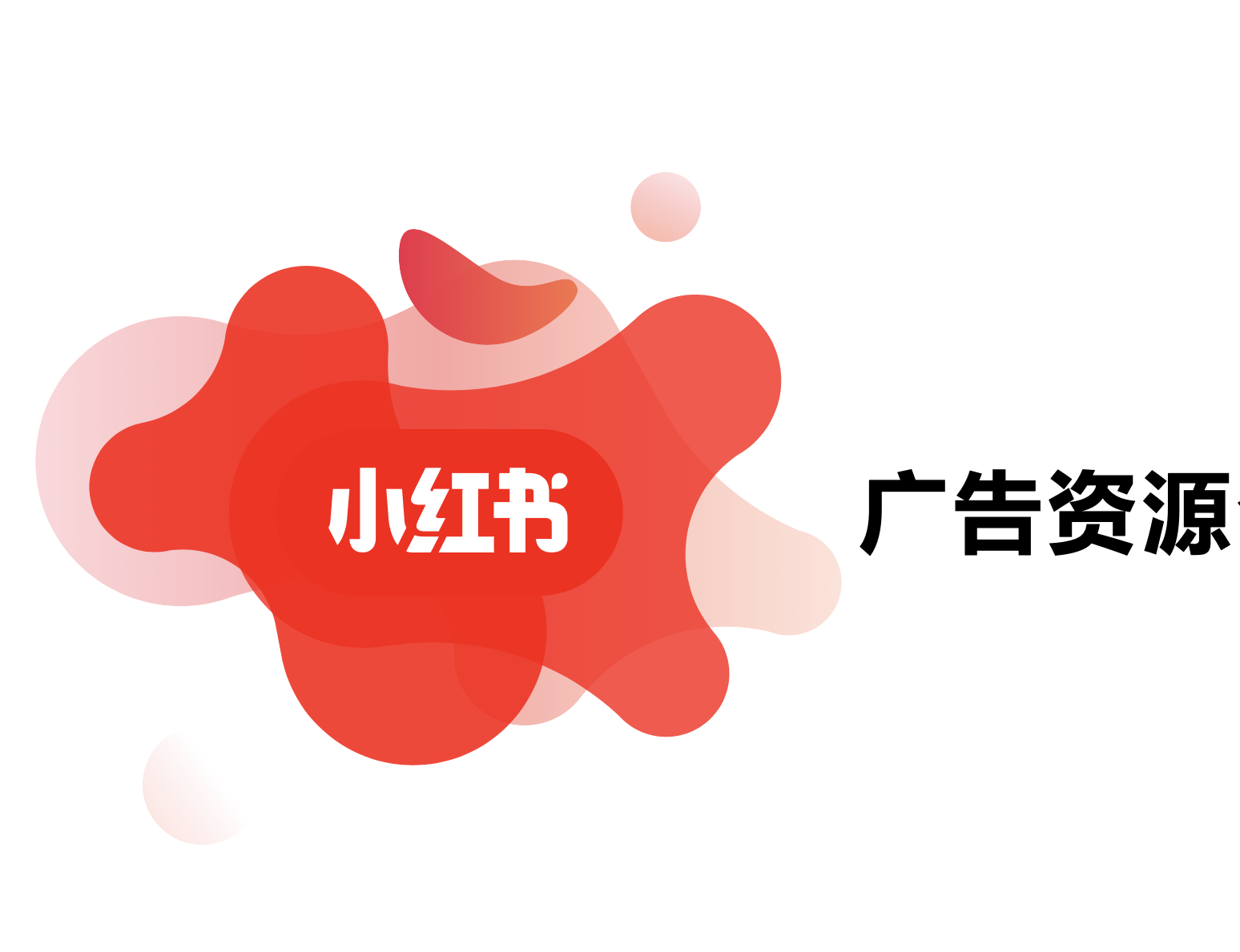 小紅書廣告，信息流、KOL、網(wǎng)紅直播